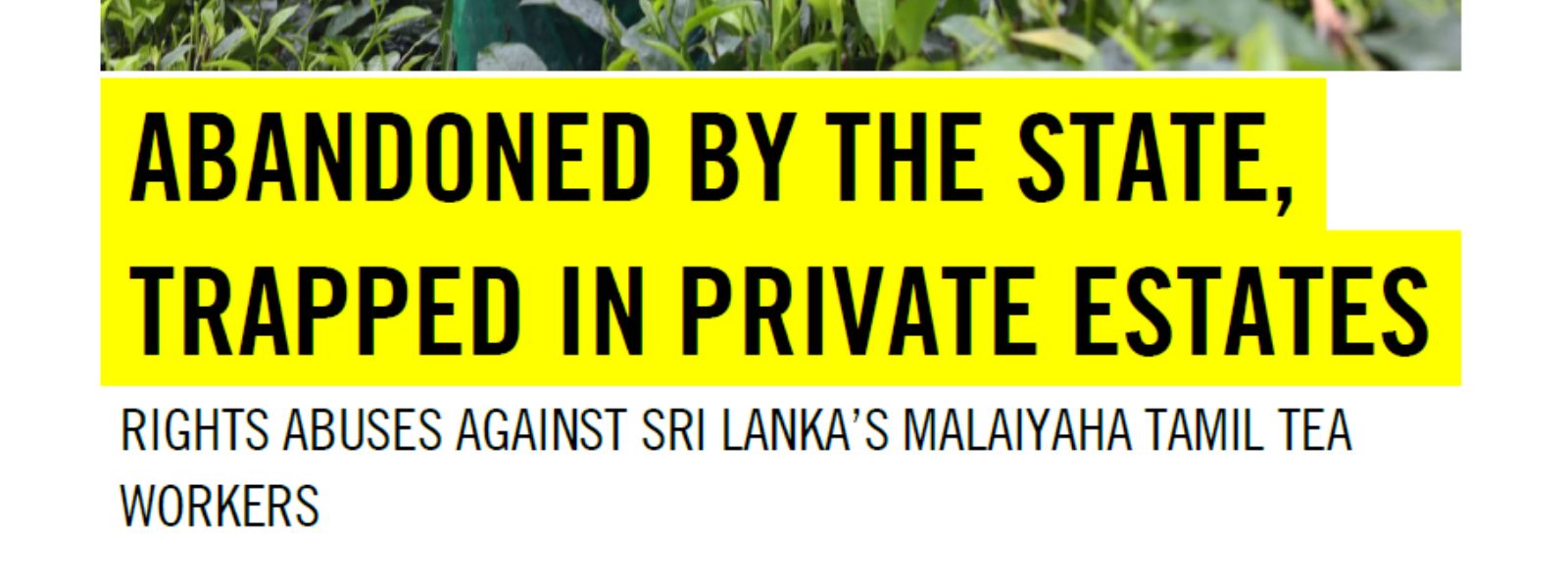 Amnesty Report Alleges Forced Labour Abuses
